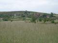 Irian